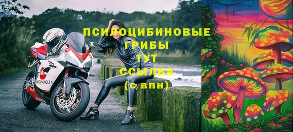 мескалин Няндома