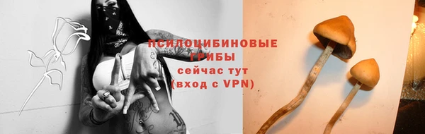 марки nbome Нязепетровск