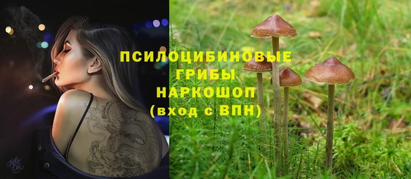мескалин Няндома