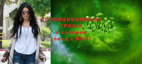 мескалин Няндома