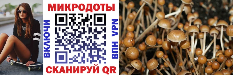 закладка  Руза  Псилоцибиновые грибы Psilocybine cubensis 